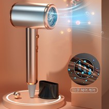 Routop 헤어드라이기 드라이머 이온 헤어 케어 저소음 풍속 조절 가정용, 금색