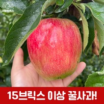 굿띵파머스 경북 부사 흠과 꿀사과 햇사과 가정용 3kg 6kg 10kg, 부사정품10kg(소과)41-46과