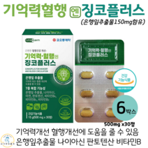 (징코) 플라보놀배당체 복합 기능성 혈행 개선 영양제 500mgX30정 6통 6개월분 식약처인증 혈행개선 나이아신 아연 판토텐산 비타민B Ginkgo Biloba