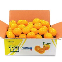 태평청과 제주 서귀포 감귤 노지 타이벡 밀감 5kg 소과 로얄과 중과, 제주 서귀포 감귤 5kg 로얄과(S~M)