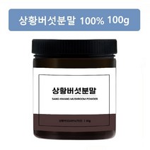 빛가람 상황버섯 100% 분말 가루 베타글루칸 목질진흙버섯 상황버섯차 건강식품