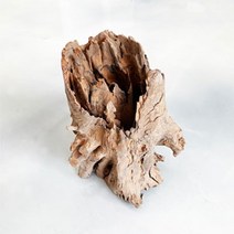 그루터기 유목(소) 15~20cm, 단품