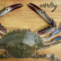 서해안 가을꽃게 생물 2kg (6~10미), 1개