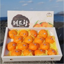 [한경농협] 제주 레드향 선물세트 3kg/5kg, 레드향 선물세트 5kg 증과(19-23과)