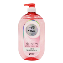 댕Ol몰 LG 자연퐁 스팀워시 주방세제 찌든때 펌프용기 750ml (애플향), 1개