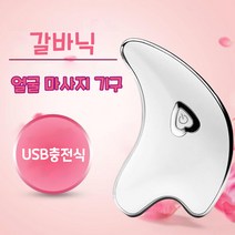 얼굴 마사지 기구 갈바닉 뷰티디바이스 얼굴 목 마사지기 45도 온열 LED EMS미세전류 이온도입 USB충전식, 핑크