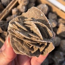 천연 아름다운 석영 사막 장미 크리스탈 미네랄 셀레나이트 원시 돌 표본 거친 보석 adenium obesum for reiki 치유, 3-5cm(1.2-2인치)