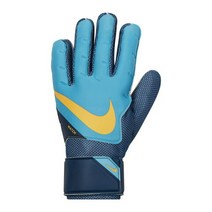 나이키 GK 매치 FA20 골키퍼 장갑 CQ7799-447