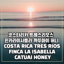 (커피생두) 61 코스타리카 트레스리오스 핀카라이사벨라 까뚜아이 허니 5kg