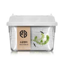 소금쟁이 관찰세트 자연과학 초등교과 수서곤충, 단품