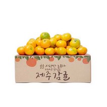 제주 햇 감귤 고당도 제철과일, 1box, 4.5kg 중대과