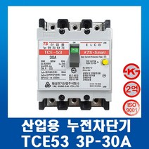 태성전기 산업용 누전차단기 TCE53-3P 30A ELCB, 1개