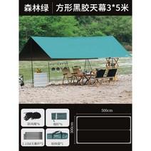 차박 그늘막 타프 대형 헥사 메쉬 텐트 쉘터 야외 스크린 캠핑 차량용 어닝 윈드 쉘, [블랙본딩]포레스트그린[사각:3*5m]8-10명