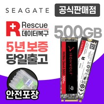 씨게이트 아이언울프525 NAS M.2 NVMe SSD, ZP500NM3A002 500GB