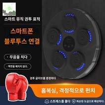 반응훈련 연습기 복싱 유산소운동 샌드백 펀치 순발력, [플래그십 품질] 스마트 뮤직 복싱 타겟 업그레이드