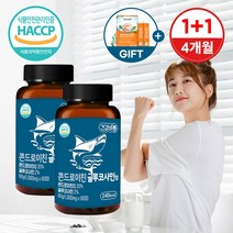 FHLAB 콘드로이친 1200 관절엔 콘드로이틴 글루코사민 120정 4개월분