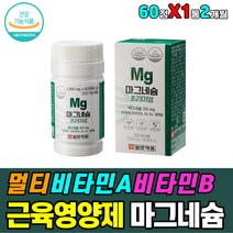 중년 종합 멀티 비타민 A B12 마그네슘 근육 영양제 수용성 지용성 눈 건강 에좋은 보충제 에너지 체력 활력 대사 생성 성분 먹는법 섭취 방법 먹는 시간 하루권장량 필수 유지