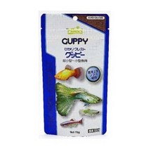 [킴아쿠아] 히카리 팬시 구피 70g