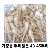 인삼 수삼 세척인삼 작은인삼뿌리 40-50뿌리 인삼파삼 못난이인삼 세척수삼 인삼가정용, 700g 40-50뿌리세척 (x) +못난이대추(30g)
