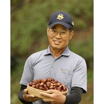 유기농 굿뜨래 알밤 햇밤 대사이즈 500g 2kg 옵션선택 2022년 부여밤 Organic chestnuts, 1박스, 대2kg