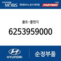 볼트-플랜지 (6253959000) 쏠라티 쏠라티 특장