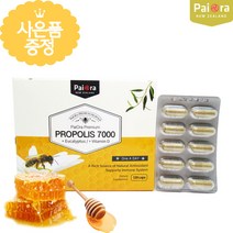뉴질랜드 프로폴리스 유칼립투스 120캡슐 금액별사은품, 1개