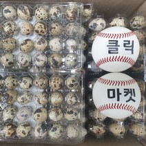 클릭마켓 HACCP 무항생제 생 메추리알 24구x18팩, 18개