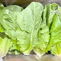 로메인 통로메인 로메인상추 특수야채 모듬쌈채소 2kg, 1개
