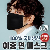 특양면 국내제작 면 마스크, 5개