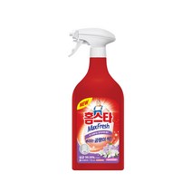 홈스타 뿌리는 곰팡이 싹 750ml, 15개
