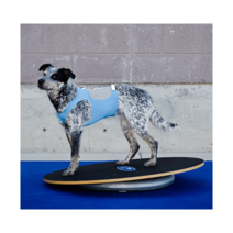 American FitPAWS Wobble Board 360반려견 밸런스운동, 1L 로커 플레이트 직경 36 92cm