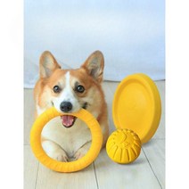 수아네 강아지어질리티 강아지사회화교육 풀세트 세트 애견훈련소 장애물, 볼 (직경 7cm)