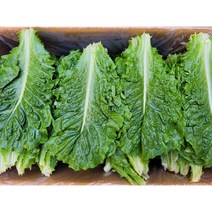 야채왕 로메인 4kg (실중량 3.8 ~ 4.0K) 로메인 레터스 상추