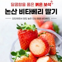 논산 설향 비타베리 GAP인증 고당도 딸기 800g(24~30입)
