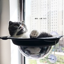 UFO 고양이 창문 투명 해먹 햇빛쬐기 침대 캣해먹 CAT, A색상