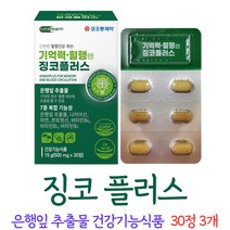 징코 플러스 진코 찡코 찐코 은행잎 추출물 영양제 식야처 인증 캡슐 넣는 알약 케이스 증정, 3개, 30정