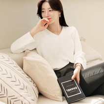 시크라인 브이넥 소매 다트 모던 블라우스