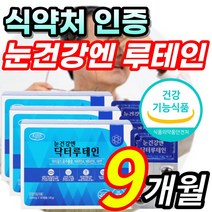 식약처 인증 침침한 흐릿한 눈 노화 건강 도움 루테인 루태인 뉴테인 누태인 뷰테인 마리골드꽃 황반색소밀도 비타민A 비타민E 결명자 블루베리 포도 종자 함유 + 알 약 케이스증정, 9개월 / 3개