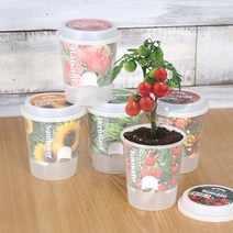 [624C]그로우 톡톡 - 마음을 노크하는 작은 정원★포장훼손반품불가★, ★옵션확인必허브바질