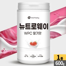 WPC 딸기맛 단백질 파우더 쉐이크 농축유청단백분말 효소처리 스테비아 스푼 동봉, 1개, 600g