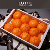 (롯데백화점)(롯데백화점)제주 레드향 선물세트 2.5kg 중과 10-16과내외