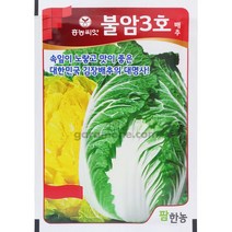 불암3호 배추씨앗 배추 씨앗 불암배추 김장 2000알