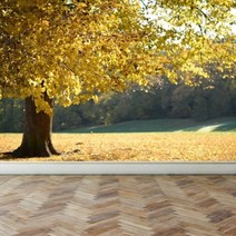 [마이월플레이즈] 디자인벽지 프리미엄 패브릭 아트벽지 가을 숲, 상세 설명 참조