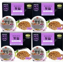 애견비책 햇밥 연어 120g X 24ea 습식강아지사료 보약, 햇밥 연어 24개, 햇밥 연어 24개