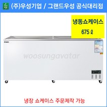 그랜드우성 업소용냉동고 냉동 쇼케이스 WSM-700FAD(675리터), 아날로그