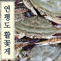 [당일경매] 진품 연평도 서해 알배기 활 암꽃게 숫꽃게 알꽉찬 제철 꽃게 1kg (3~6미), <특가>진품 연평도 급냉 암꽃게 1kg (4~6미)” class=”wr-img”></a></div>
</div>
</div>
</div>
<div class=