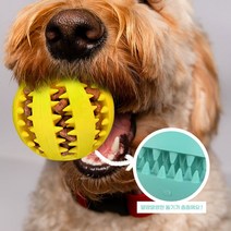 노즈워크 강아지 장난감 볼 간식트랩 스트레스해소, 단품, 단품