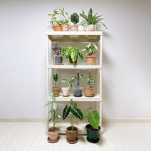 미화부장 화분 선반 거치대 받침대 거실 베란다 창고 주방 정리대 3단 4단 5단 다이 식물 다육이 다이소 이케아 이동식 틈새 플라스틱 진열대, 블랙