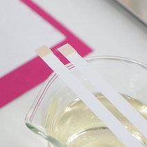 케톤 테스트 스트립 100 피스 소변 검사 케토 키톤 테스터 국내 전문 바디, 한개옵션0