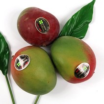 페루 애플망고 11-12과 (소과 350g내외), 1box, 3입팩